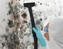 Best Black Mold Removal  in Cudahy, CA